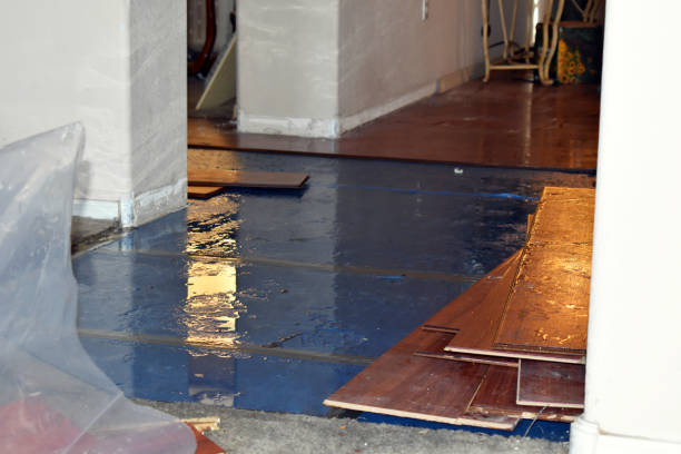 Professional Flood Cleanup technician working in New Franklin, MO